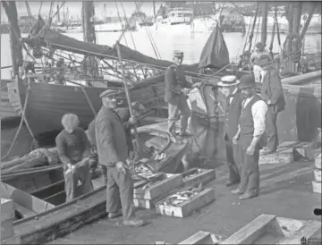  ?? ?? Fisk losses ved den gamle fiskerihav­n på den nu forsvundne Nordre Mole. Foto: Ebbesen Foto, ca. 1915, Aarhus Stadsarkiv.