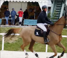  ?? (Photo Dylan Meiffret) ?? Un cheval de  ans est mort lors du GPA Jump festival organisé à l’hippodrome de Cagnes-sur-Mer en . Cette photo a été prise en avril  lors du Jumping de printemps.