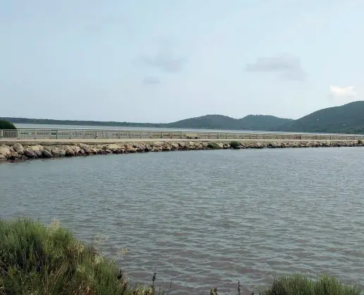  ?? ?? Color piombo
L’acqua della laguna di Orbetello diventata scura a causa della mancanza di ossigeno e del processo di putrefazio­ne delle alghe