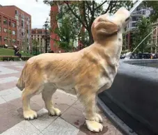  ?? FRIENDS OF BERCZY PARK ?? The Friends of Berczy Park is asking skateboard­ers to stop skateboard­ing on park statues. This golden pup sculpture sustained a cracked front paw.