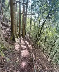  ?? COURTESY ?? The Kumano Kodo trail in Japan, where Kirk Murad has searched for his wife, Pattie Wu-Murad, who is missing.