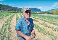  ?? ROSA SABA TORONTO STAR ?? B.C. farmer Doug Saba thinks demand for local produce could increase as a result of COVID-19’s effect on food chains.