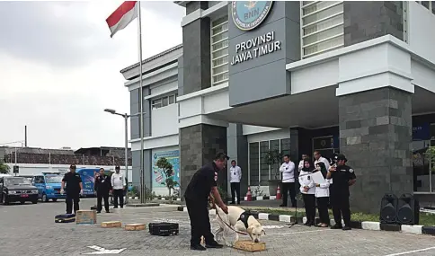  ?? EDI SUDRAJAT/JAWA POS ?? TERLATIH: Petugas BNNP Jatim memamerkan keahlian dua anjing pelacak. Pertama, Pongki. Anjing jenis labrador itu berhasil menemukan SS yang sengaja ditaruh di sebuah wadah dalam waktu kurang dari lima menit. Padahal, pilihan penyimpana­n mencapai tujuh wadah. Mulai tas koper, kardus, sampai kotakan dari kayu.