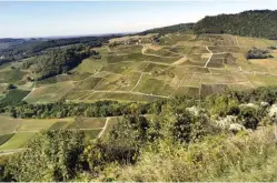  ??  ?? Depuis Château-Chalon, fief du vin jaune, on embrasse un vaste relief de vignes.