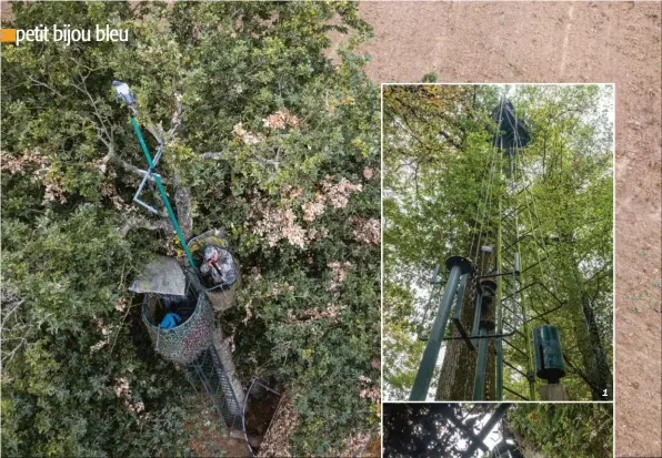  ??  ?? Ce jouquet se compose de deux postes de tir en hauteur perchés à une dizaine de mètres et d’un ascenseur installant l’appelant à la cime de l’arbre.