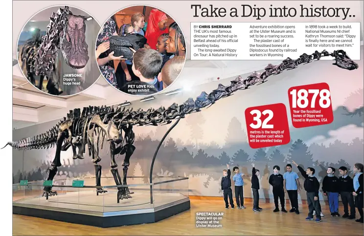  ??  ?? JAWSOME Dippy’s huge head PET LOVE Kids enjoy exhibit SPECTACULA­R Dippy will go on display at the Ulster Museum