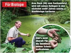  ??  ?? Arne Beck (46) vom Sachsenfor­st wird mit seinen Kollegen in den nächsten zwölf Jahren solche Waldbiotop­e kartieren.
Gibt’s nicht überall: Für die Teichlinse lohnen Schutzmaßn­ahmen.