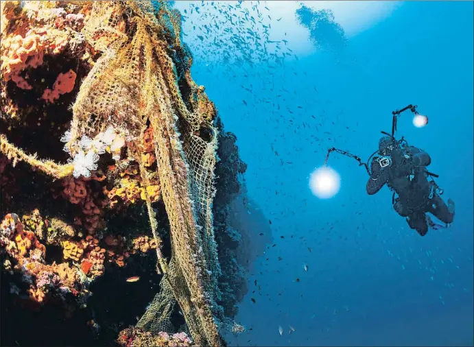  ?? ULTRAMARIN­FOTO / GETTY ?? Un fotògraf retrata la vida submarina en una zona amb esponges i coralls atrapats en una vella xarxa de pesca al mar Adriàtic