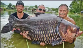  ??  ?? It takes three: Tim Webb, right, is helped to hold up his monster carp