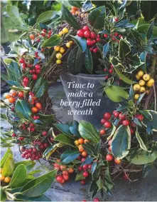  ??  ?? Time to make a berry-filled wreath