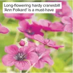  ??  ?? Long-flowering hardy cranesbill ‘Ann Folkard’ is a must-have