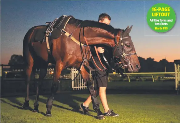  ?? Picture: STEPHEN COOPER ?? Winx has a gentle warm down after completing her trackwork at Rosehill Gardens.