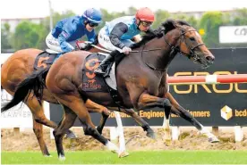  ?? Photo / Race Images ?? Tevere is back in action at Te Rapa tomorrow.