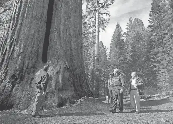  ?? TERESA HURTEAU, VISALIA TIMES- DELTA, VIA USA TODAY NETWORK ?? President Clinton establishe­d the 328,000- acre Giant Sequoia National Monument to protect centuries- old trees. President Trump says monument designatio­ns curtail economic growth.