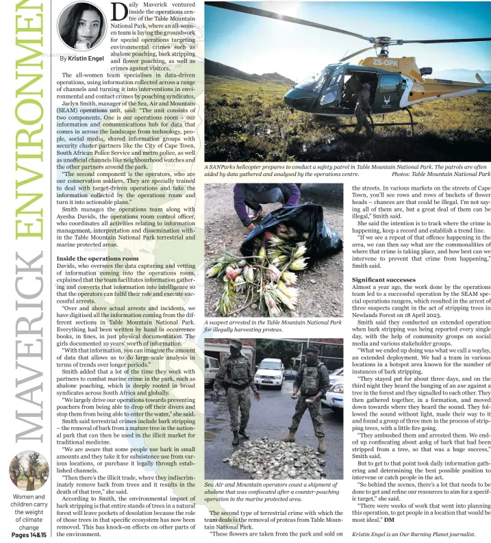  ?? Table Mountain National Park ?? Women and children carry the weight of climate
change Pages 14&15
A Sanparks helicopter prepares to conduct a safety patrol in Table Mountain National Park. The patrols are often aided by data gathered and analysed by the operations centre. Photos:
A suspect arrested in the Table Mountain National Park for illegally harvesting proteas.
Sea Air and Mountain operators count a shipment of abalone that was confiscate­d after a counter-poaching operation in the marine protected area.