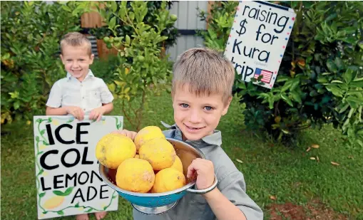  ?? PHOTO: MARK TAYLOR/STUFF ?? Felix Murray, 4, has been helping his brother Atticus, 6, raise funds for a trip to the United States.