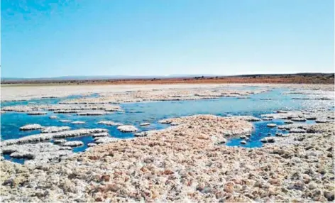  ??  ?? ► Salar de Llamara, en la Región de Tarapacá