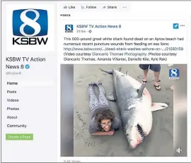  ?? FACEBOOK ?? This photo of a marine biologist lying next to a dead shark was posted on the Facebook page of Salinas-based TV station KSBW, where it received a number of negative comments.