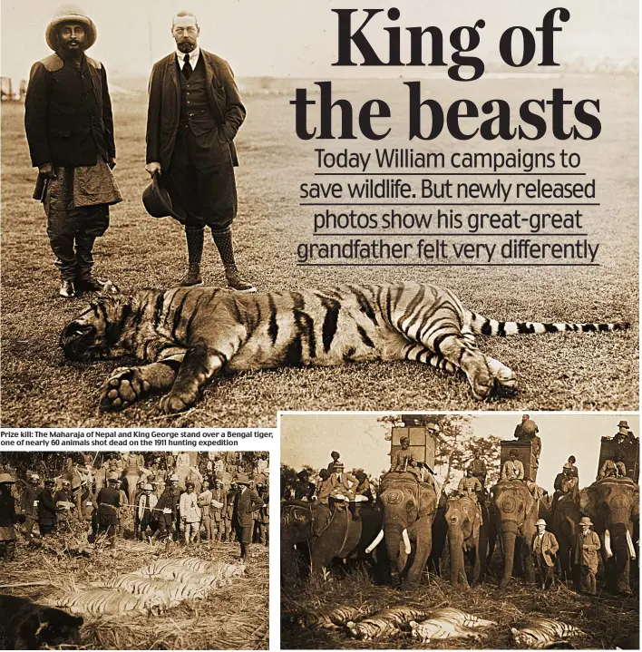 Image of King George V Shooting Tigers in Nepal, 1911 (b/w photo