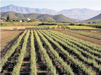  ??  ?? AXES TO GRIND: Agricultur­e players in South Africa say the sector has been dealt a blow by President Jacob Zuma’s plan to put a cap on land ownership — but farmers have done themselves no favours by paying workers low wages
