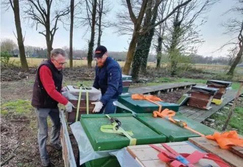  ?? FOTO ROGER DREESEN ?? De bijenkaste­n van Leo Boonen (links) verhuizen voor ruim een maand van De Muizendijk, op de grens van Bree met Wijshagen, naar Zuid-Limburg.