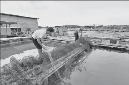  ?? ?? Người nuôi cá lồng bè trên sông Chà Và, xã Long Sơn, thành phố Vũng Tàu chuẩn bị cho vụ nuôi mới.