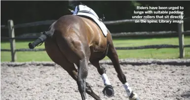  ??  ?? Riders have been urged to lunge with suitable padding under rollers that sit directlyon the spine. Library image