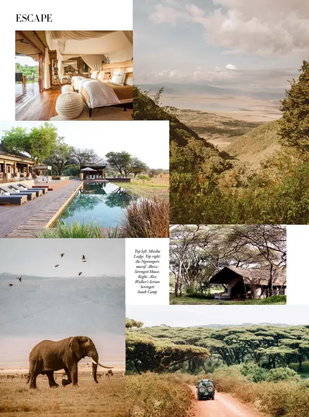  ??  ?? Top left: Mwiba Lodge. Top right: the Ngorongoro massif. Above: Serengeti House.
Right: Alex Walker’s Serian
Serengeti South Camp