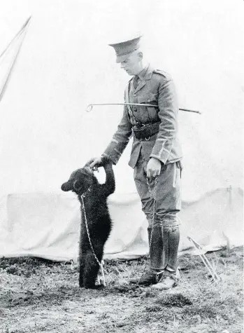  ??  ?? Winnie the bear cub was adopted by Harry Colebourn, a veterinari­an serving in the Canadian Army Veterinary Corps.