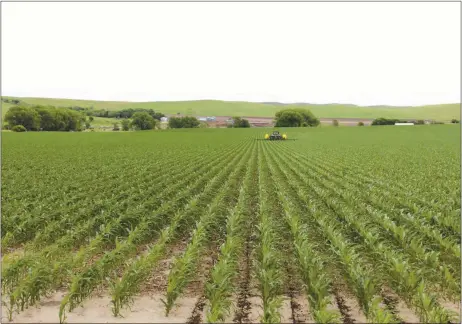  ?? Mona Weatherly ?? Input costs of fertilizer and other ag chemicals have skyrockete­d in the past year. Local farmers and ranchers will be meeting the challenge with the same determinat­ion and resolve that they use to meet other challenges. Above, a producer does spring work in a Custer County corn field in 2019.