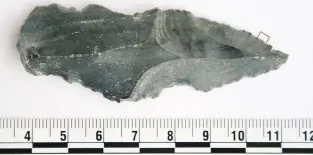 ??  ?? This 250,000-year-old stone blade was unearthed during the dig and later tested positive for rhino residue. It and others found by Newell are the oldest yet to be recovered and tested for animal proteins.