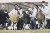  ??  ?? 0 Three generation­s, three sheep breeds, three champions. That was the amazing feat which certainly left the Wight family from Midlock Farm near Biggar in South Lanarkshir­e amongst those enjoying a feel-good factor at this year’s Royal Highland Show. Pictured are (l to r) Allan Wight; Scotch Mule champion; Allan Wight; Blackface champion; Iain Clark (shepherd); Crossing Type Bluefaced Leicester champion; Ben Wight.