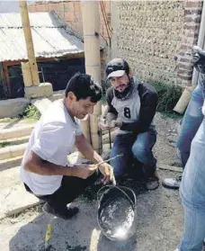  ??  ?? Miguel Sambrano ayudando a construir la célula restaurati­va. |CORTESÍA