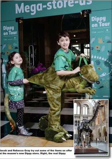  ??  ?? Jacob and Rebecca Gray try out some of the items on offer at the musem’s new Dippy store. Right, the real Dippy