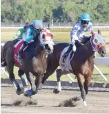  ?? FE ?? Jornada de la cartelera de ayer en el Hipódromo Quinto Centenario.