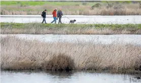  ?? ARIC CRABB/STAFF ARCHIVES ?? The trails at Fremont’s Coyote Hills Regional Park draw hikers, joggers and birdwatche­rs.