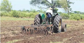  ??  ?? La producción agrícola se ha diversific­ado para ampliar el mercado de distribuci­ón en el mundo.