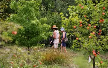  ??  ?? Hier, quelques dizaines de visiteurs ont déjà eu l’occasion déambuler au milieu des jardins.