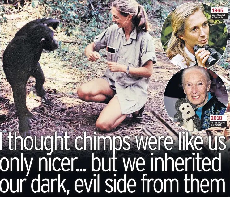  ??  ?? 1965 Jane Goodall in Tanzania 2018
At film festival last month