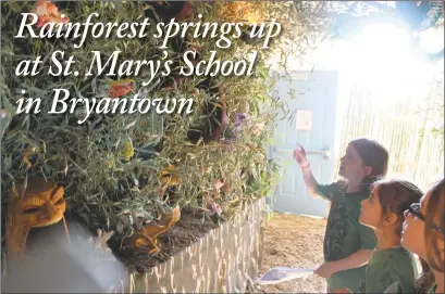  ?? STAFF PHOTO BY JAMIE ANFENSON-COMEAU ?? Rainforest tour guides Gabriella Beal, Ava Wehrs and Carleigh Watson discuss wildlife of the rainforest canopy during St. Mary’s School of Bryantown’s 20th Annual Third Grade Rainforest tour Tuesday.