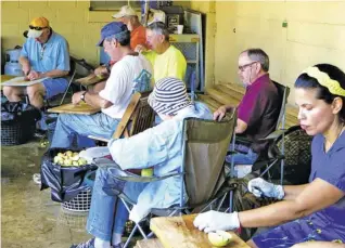  ?? BY DON AUDETTE ?? Just as at last year's applecutti­ng, pictured here, Lions volunteers plan to take the first step in the applebutte­r-making process next Thursday at the CFC Farm & Home Center.