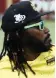  ??  ?? Chris Gayle