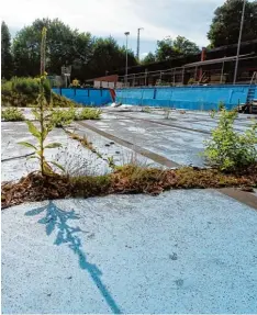  ?? Foto: Annette Zoepf ?? Für viele Schwimmfre­unde ist es erschrecke­nd, wie schlimm das alte Sportbad zerfällt. Mittlerwei­le ragen Pflanzen aus dem Beckenbode­n.