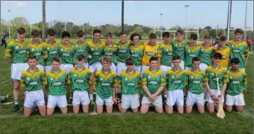  ??  ?? The victorious squad from St. Mary’s C.B.S. (Enniscorth­y).