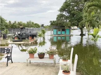  ?? JENNY STALETOVIC­H WLRN ?? Water flooded Raul Arrazcaeta’s Las Palmas yard in November.