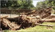  ?? EVAN BRANDT — MEDIANEWS GROUP ?? Entire trees, roots and all, that were swept down Manatawny Creek in in the July 2019flood slammed into the pedestrian bridge in Memorial Park and were held there by the force of the water, acting as a drag that added force to the water’s pressure on the bridge.