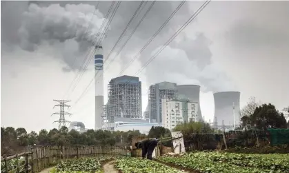  ?? Photograph: Bloomberg/Getty Images ?? A man tends to vegetables growing in a field as emissions rise from cooling towers at a coal-fired power station in Anhui province, China.