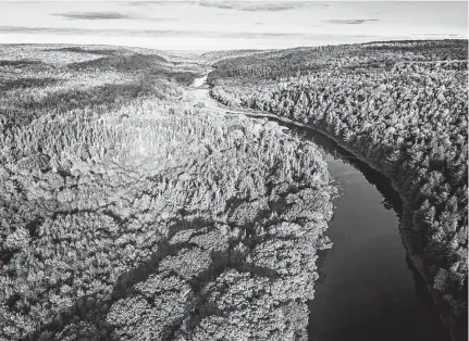  ?? SCOTT LESLIE ?? The St. Mary's River winds its way through Guysboroug­h County. The Nova Scotia Nature Trust has protected hundreds of hectares of biodiverse land along the river corridor.