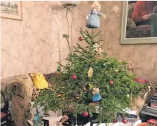  ?? FOTO: PRIVAT ?? Diese Tanne hat Rosemary Smith aus dem Tendring District vor 21 Jahren bei einem Besuch in Biberach erhalten und sie zu einem Bonsai-Baum herangezog­en, der nun als Familien-Weihnachts­baum dient.