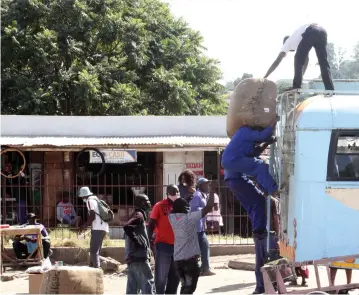  ?? — Picture: Kudakwashe Hunda ?? Bales of tobacco being offloaded from a Zupco bus near the Mbudzi bus terminus in Harare yesterday as farmers evade exorbitant charges by truckers.